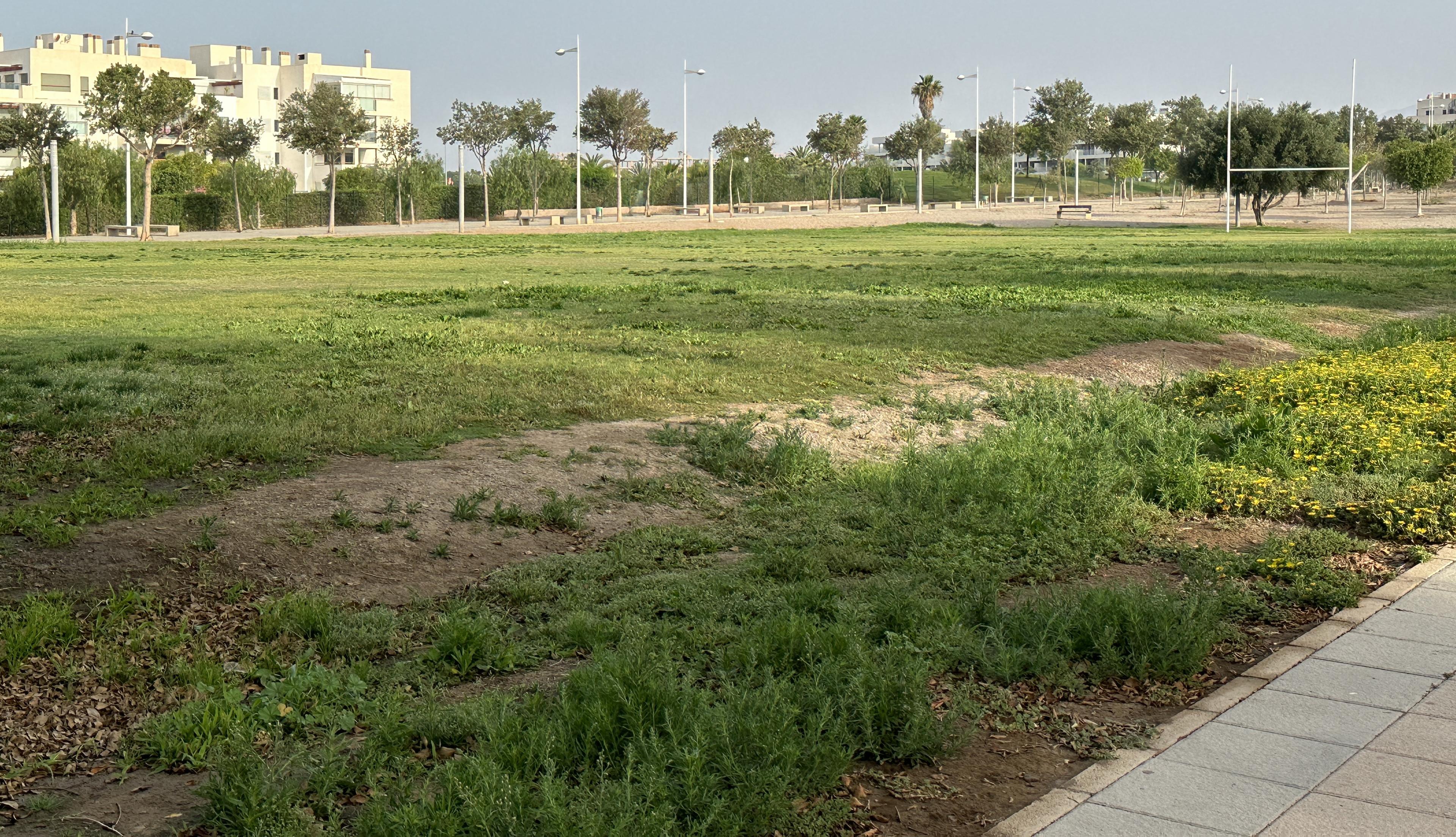 El Centro Multideportivo de El Toyo, otro incumplimiento del PP